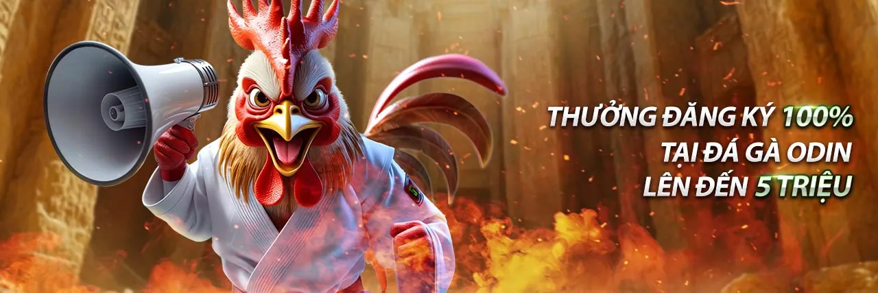 Hình nền đá gà trực tiếp daga88